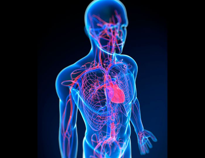 MEDALLOY - Coming Soon